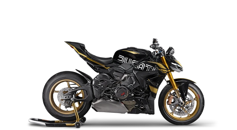 Streetfighter V4 S 100